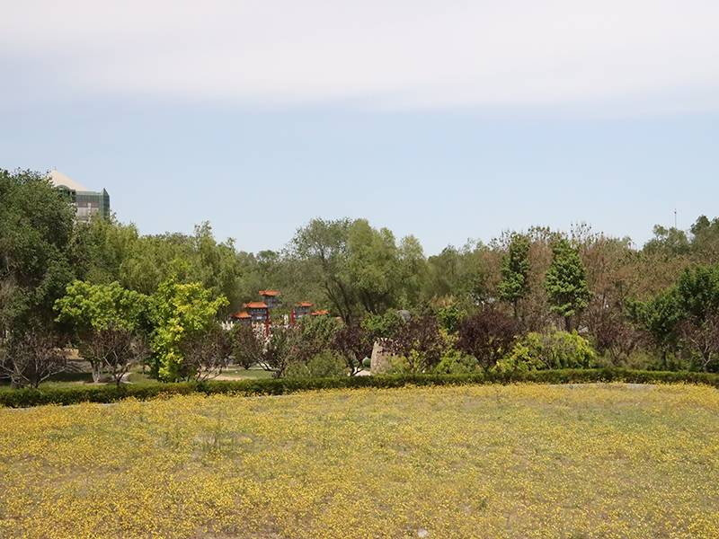 顺义潮白陵园具体位置在哪（陵园怎么样）